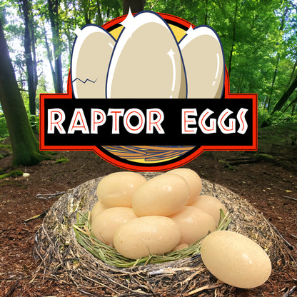 Raptor Eggs